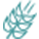 ˳-սʵ,𾢳ɼδ!