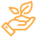 ˳-սʵ,𾢳ɼδ!